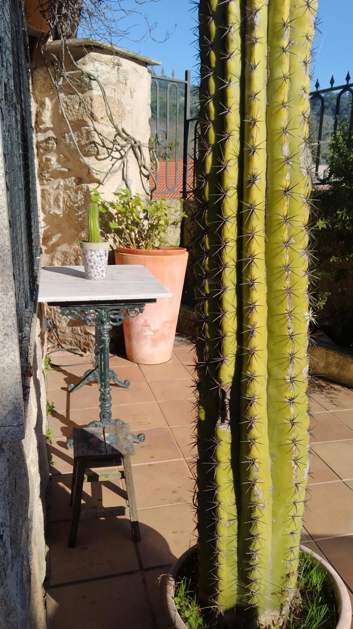 Casa Iriana - Parking Gratis I Jardin I Barbacoa Villa Ourense Exterior photo